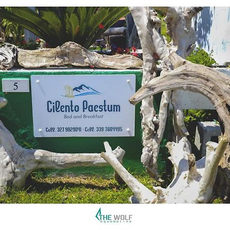 B&B Cilento Пестум Экстерьер фото