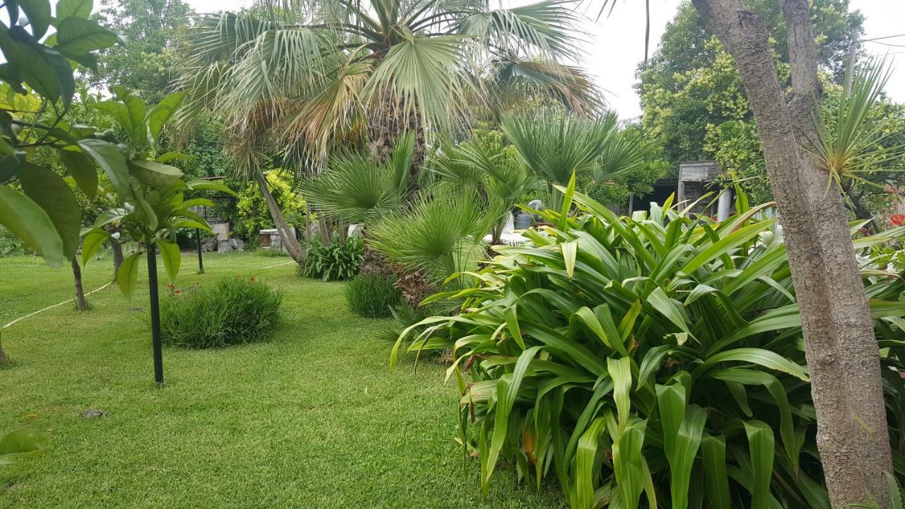 B&B Cilento Пестум Экстерьер фото